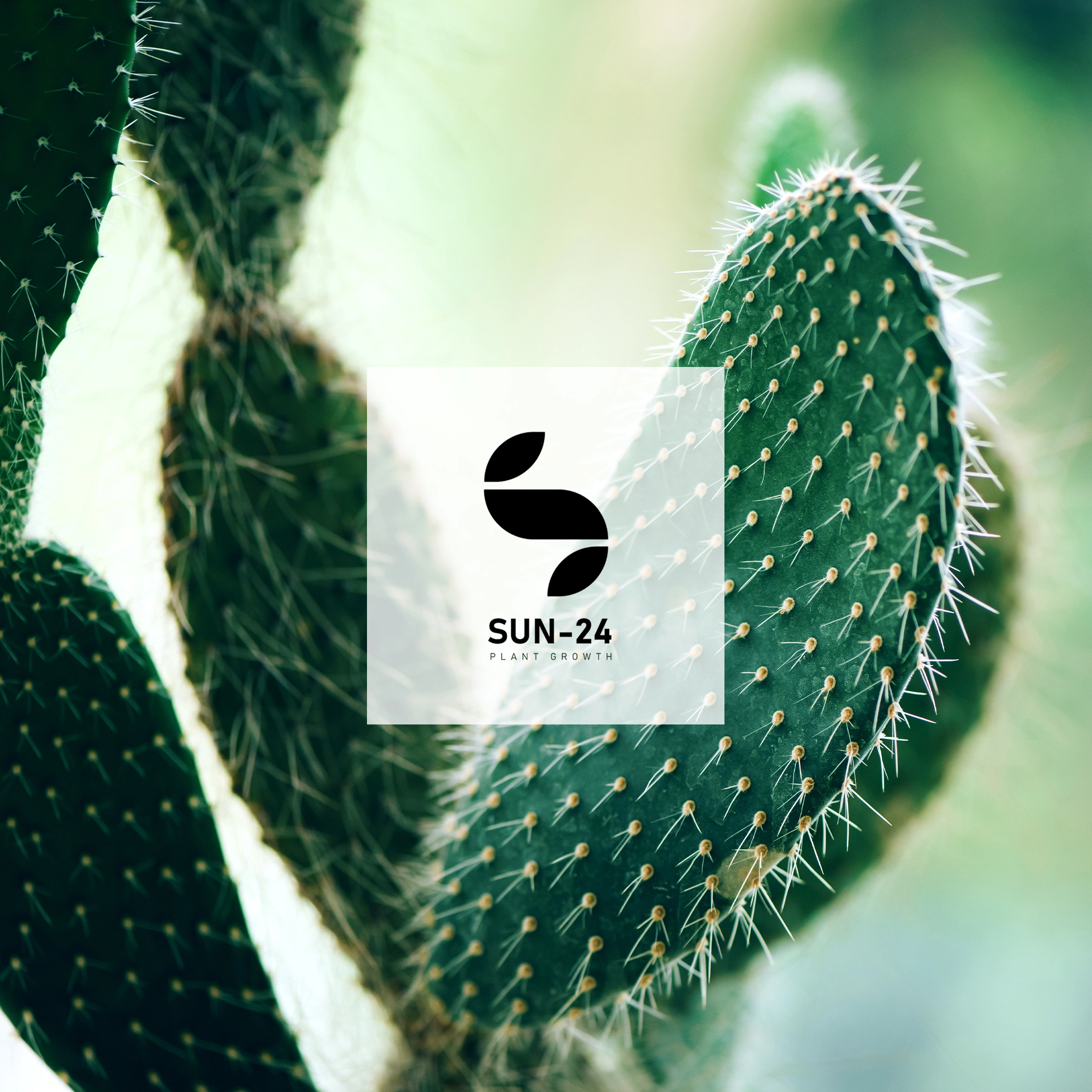 SUN-24